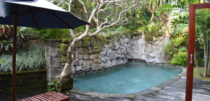 3-bedroom Villa Aylin in Canggu