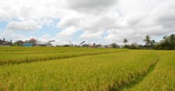 3-Bedroom Villa Maria in Canggu
