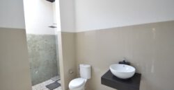 3-bedroom Villa Red Rose in Seminyak