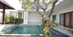 3-bedroom Villa Red Rose in Seminyak