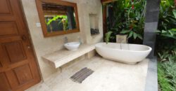 2-Bedroom Villa Samira in Petitenget