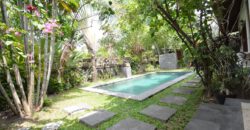 2-Bedroom Villa Samira in Petitenget