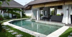 4-Bedroom Villa Butterfly in Umalas