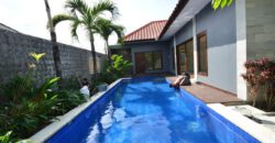 2-bedroom Villa Ariel in Seminyak