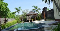 3-Bedroom Villa Missouri in Canggu