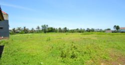 3-bedroom Villa Queen in Canggu