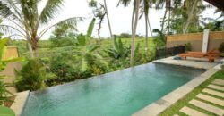 3-bedroom Villa Luna in Canggu