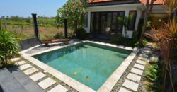 2-bedroom Villa Black Bird in Cemagi