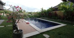 2-bedroom Villa Decatur in Kerobokan