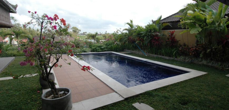 2-bedroom Villa Decatur in Kerobokan