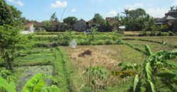 3-bedroom Villa Chickasaw in Kerobokan