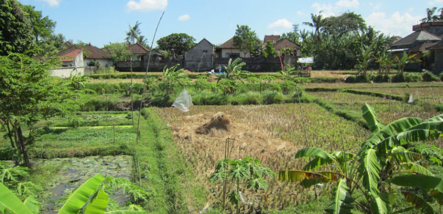 3-bedroom Villa Chickasaw in Kerobokan