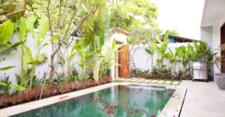 2-bedroom Villa Princess in Seminyak