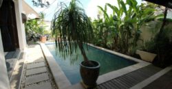 2-bedroom Villa Juneau in Kerobokan