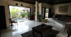 2-bedroom Villa Juneau in Kerobokan