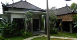 1-bedroom Villa Leominster in Canggu