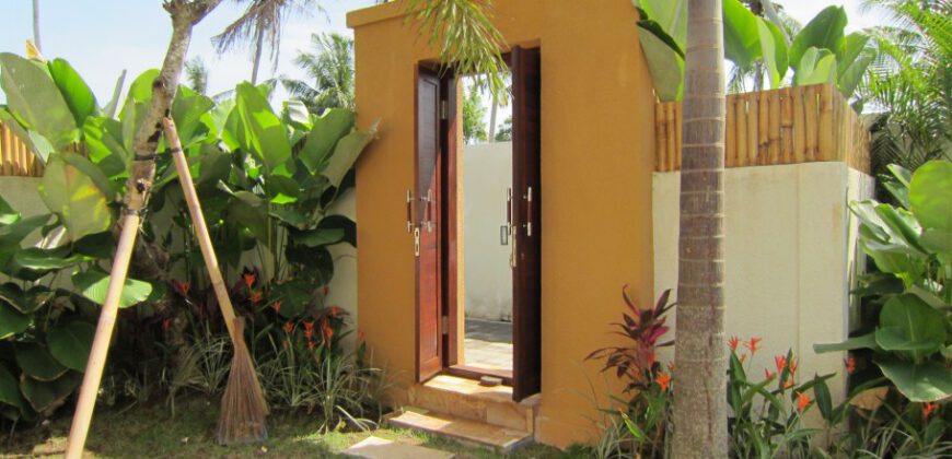 3-bedroom Villa Kapaa in Pererenan