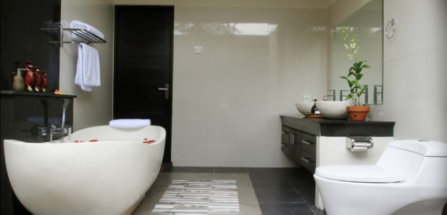 1-bedroom Villa Leominster in Canggu