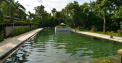 1-bedroom Villa Largo in Sanur