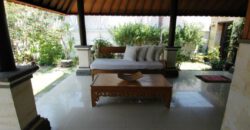 3-bedroom Villa Prichard in Petitenget