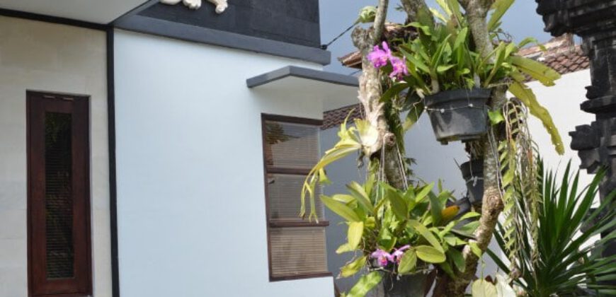 4-bedroom House Mick in Kerobokan