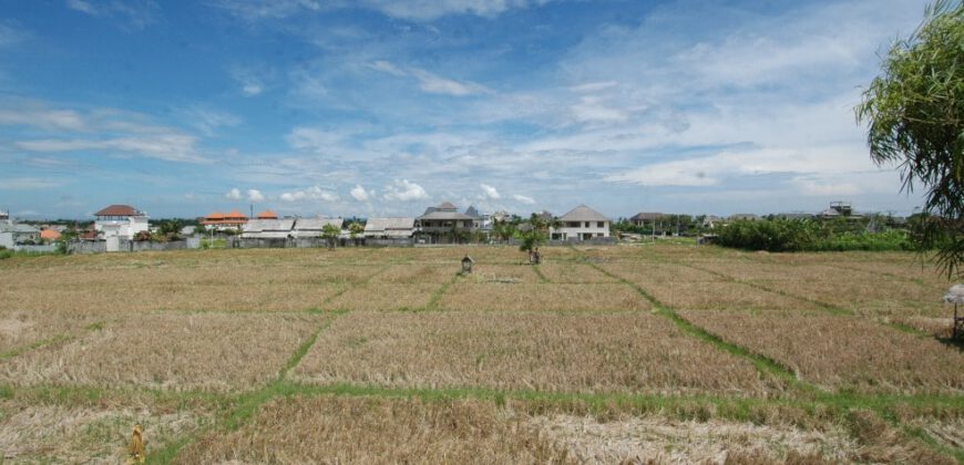 4-bedroom Villa Waylon in Canggu