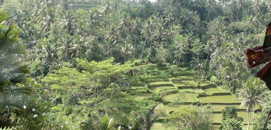 4-bedroom Villa Terali in Ubud