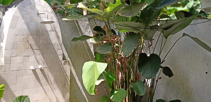 2-bedroom House Jeanette in Canggu