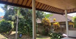 2-bedroom House Jeanette in Canggu