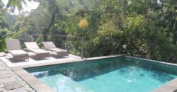 3-bedroom Villa Iwan in Berawa