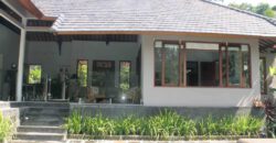 3-bedroom Villa Iwan in Berawa