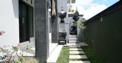 3-bedroom House Andesine in Denpasar