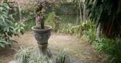 3-bedroom House Taritatu in Sanur