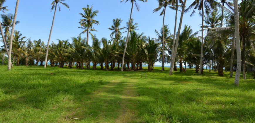 Beach Front Land for Sale in Cemagi
