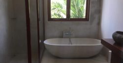 3-bedoom Villa Rainbow in Petitenget