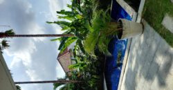 2-bedroom Villa Bandung in Berawa