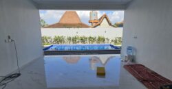 2-Bedroom Villa Blue in Canggu