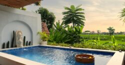 1-Bedroom Luxury Villa Claine in Canggu