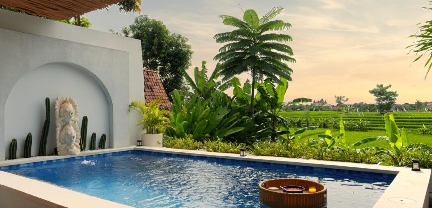 1-Bedroom Luxury Villa Claine in Canggu