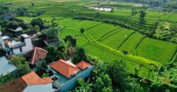 1-Bedroom Luxury Villa Claine in Canggu