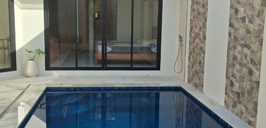 2-Bedroom Villa Panca in Blah Batuh, Gianyar